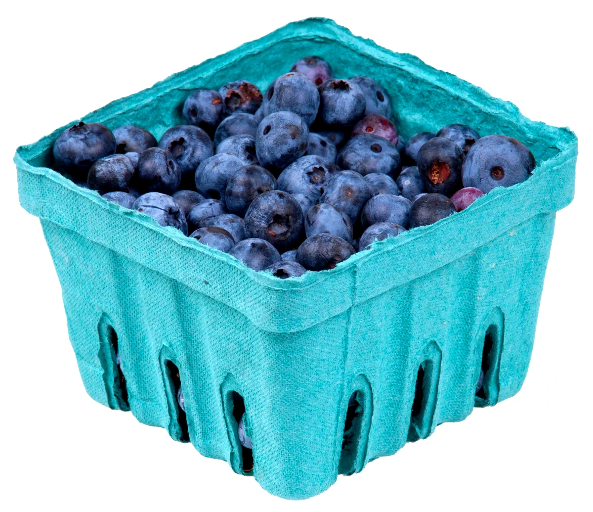 Vivid Fresh Berries Pop - Edited